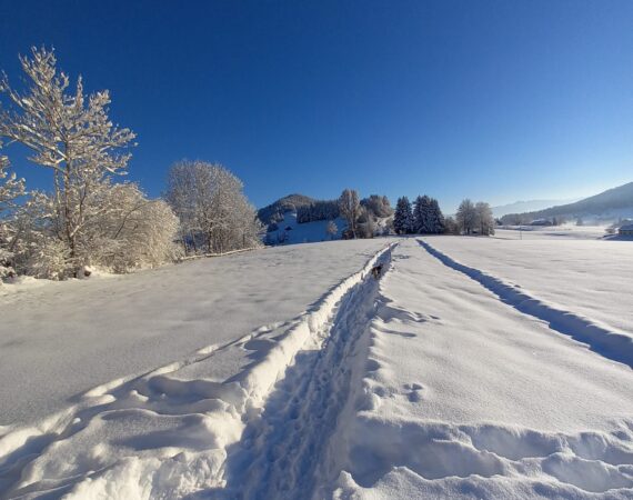 Unsere Winterkarte